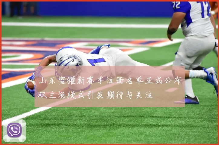 山东蜜獾新赛季注册名单正式公布双主场模式引发期待与关注