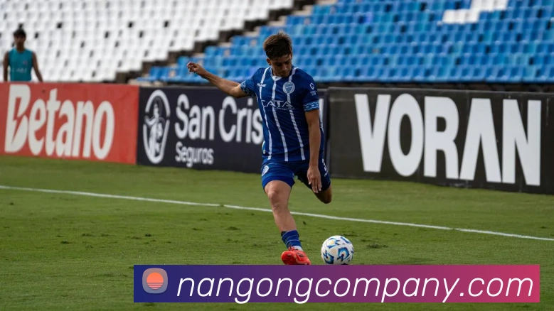 南宫体育平台生态图