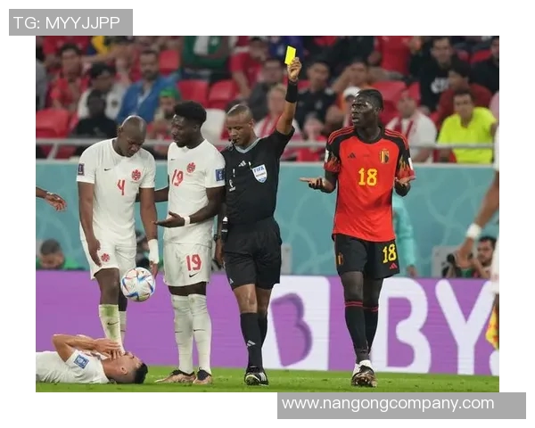 纳因戈兰谈与加西亚教练的良好关系及比利时晋级世界杯的信心